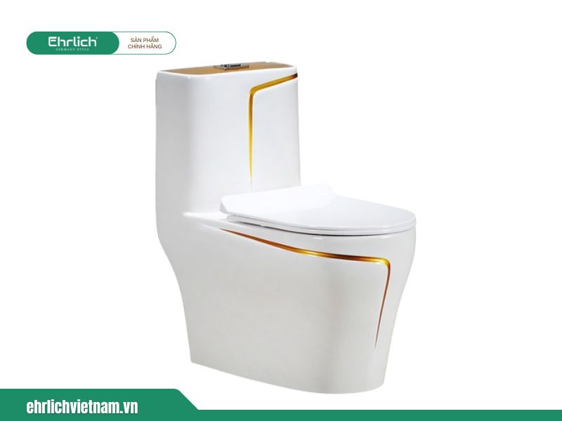 Bồn cầu liền khối Ehr-B917 (2)