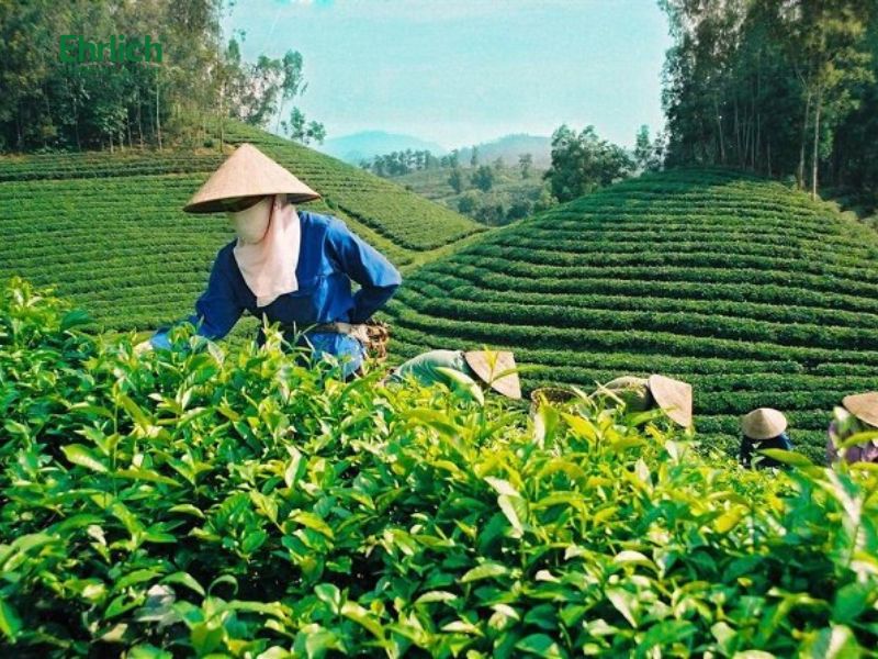 mua thiết bị vệ sinh tại thái nguyên (2)