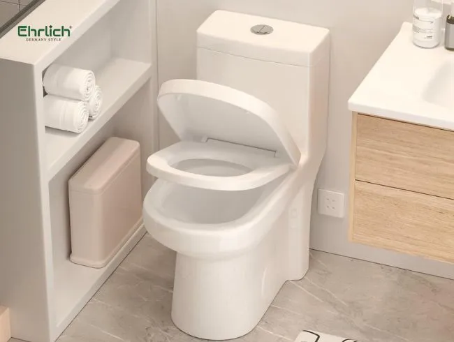 Bồn cầu 1 khối là gì 
