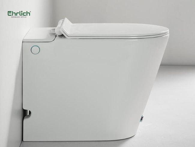 Bồn cầu cụt là gì