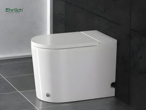Bồn cầu cụt là gì