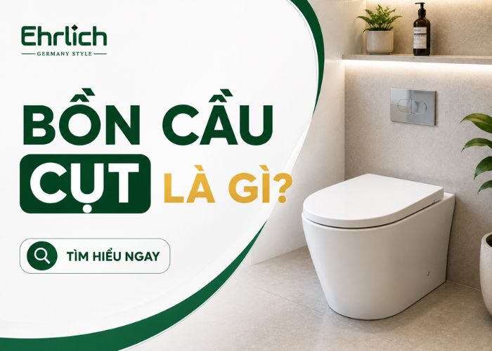 Bồn cầu cụt là gì? Giá bao nhiêu và có nên mua không?