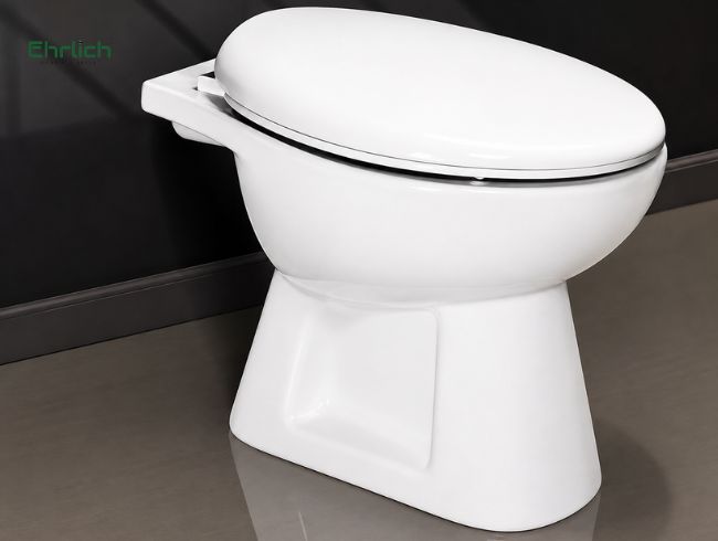 Bồn cầu giá rẻ dưới 1 triệu (1)