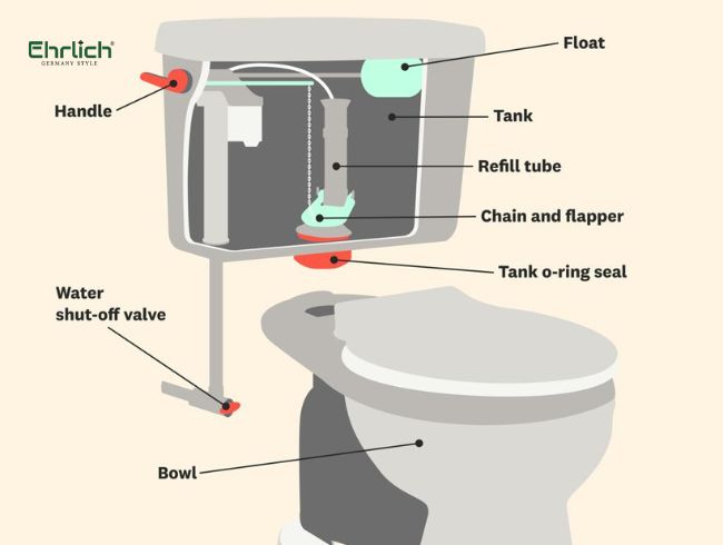 Bồn cầu tiếng anh là gì (3)