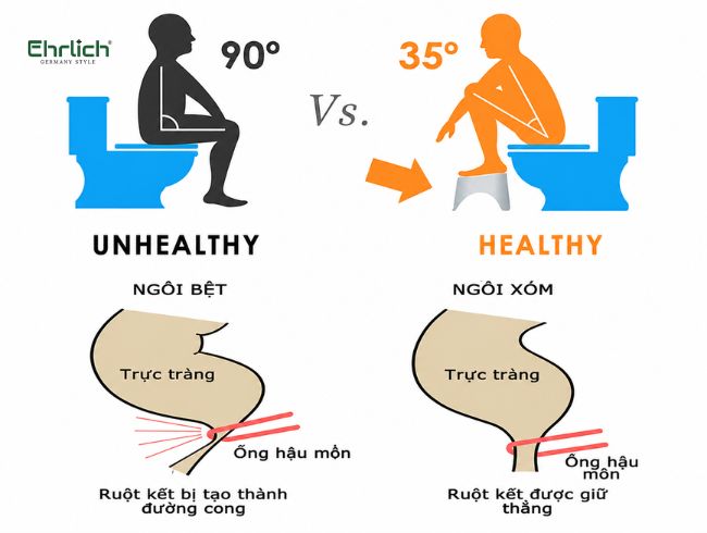 Cấu tạo bồn cầu 