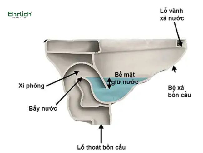 Cấu tạo bồn cầu