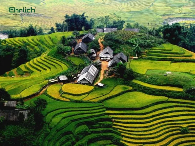 Mua-thiết-bị-vệ-sinh-tại-Điện-Biên-1
