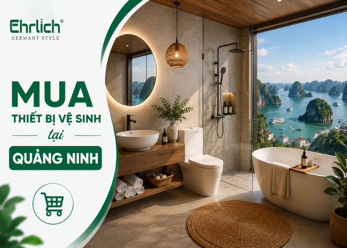 Mua thiết bị vệ sinh tại Quảng Ninh chất lượng, nhập khẩu 100%