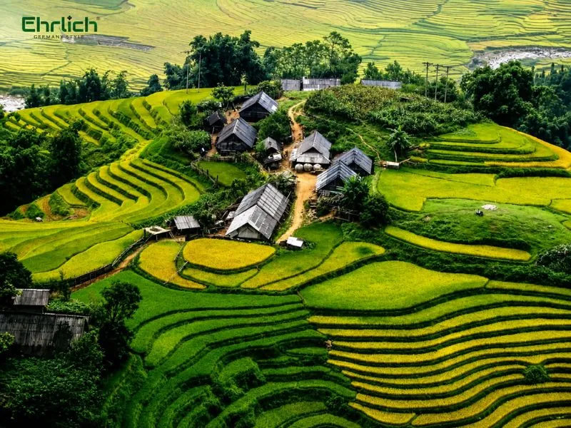 Mua thiết bị vệ sinh tại Lai Châu