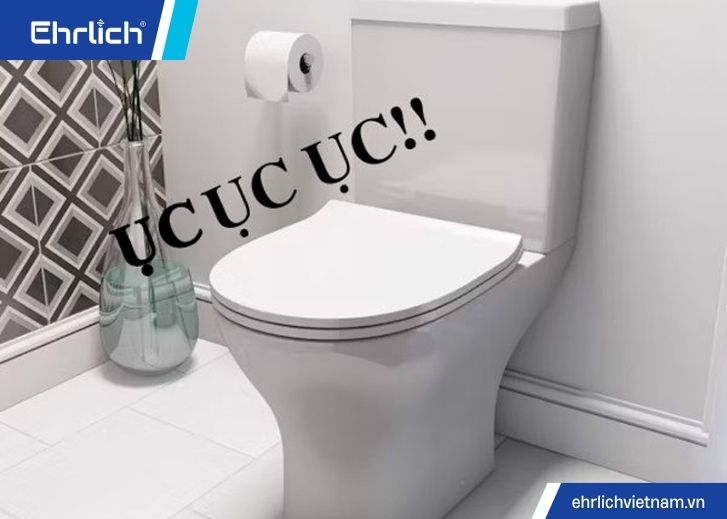 Bồn cầu xả nước kêu to (2)