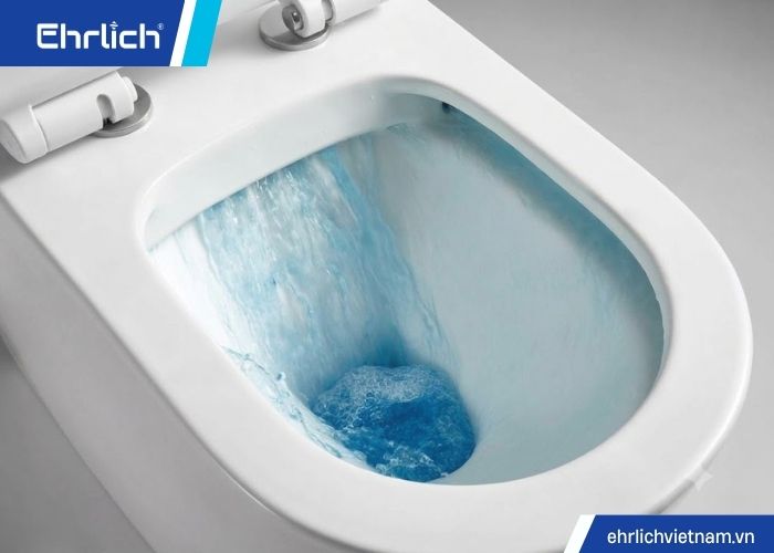 Bồn cầu xả xoáy hay xả thẳng (3)