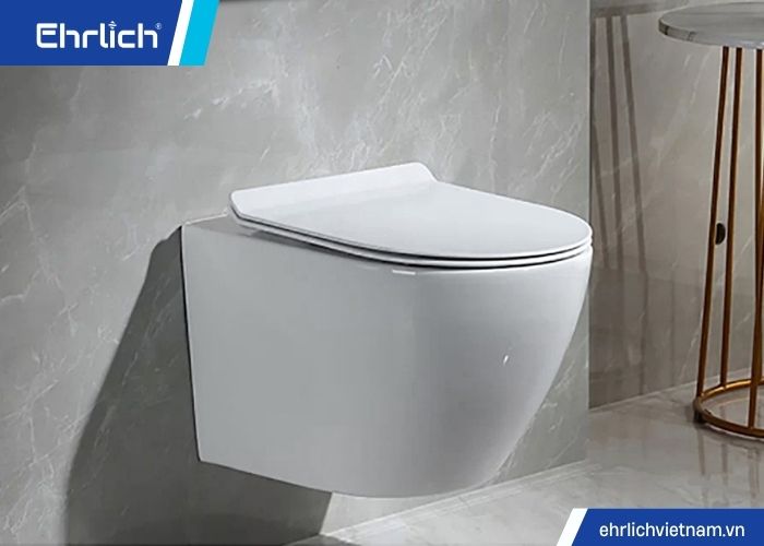 Các loại bồn cầu (1)