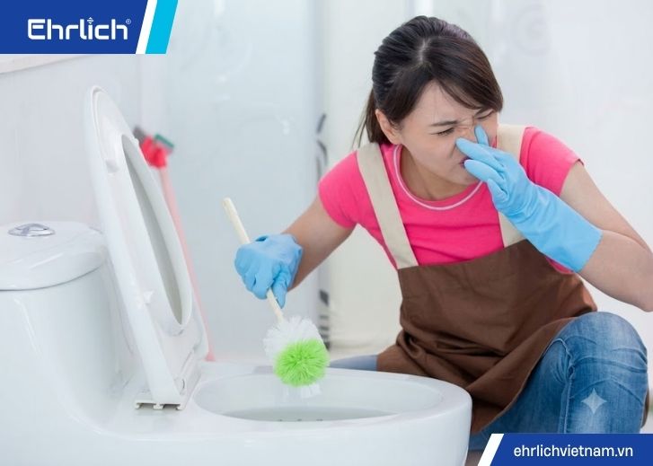 Cách khử mùi bồn cầu (2)
