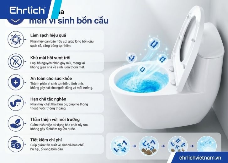 Men vi sinh bồn cầu là gì (2)