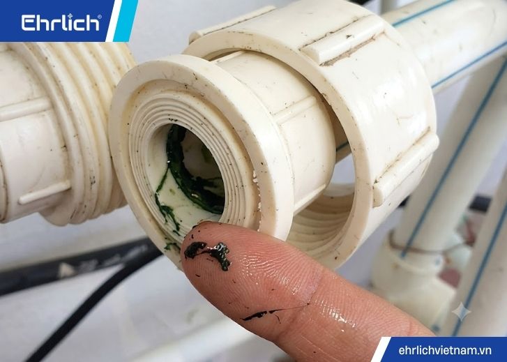 Nước vào bồn cầu chậm (2)