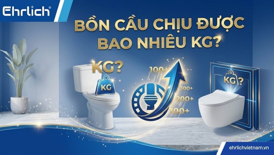 Bồn cầu chịu được bao nhiêu kg? Cách chọn bồn cầu chịu lực tốt
