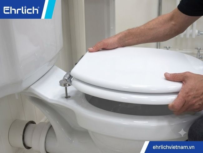 cách nắp bồn cầu (1)