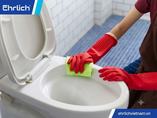 các nắp bồn cầu (3)