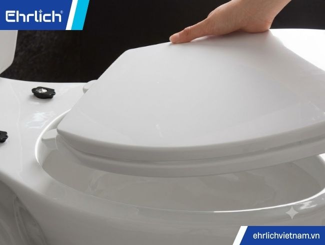 cách nắp bồn cầu (4)