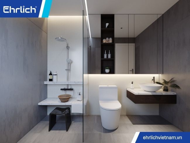 mua thiết bị vệ sinh tại bình định (4)