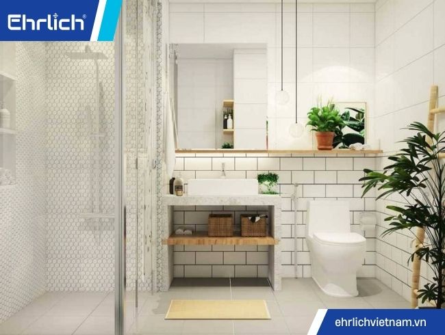 mua thiết bị vệ sinh tại quảng nam (5)