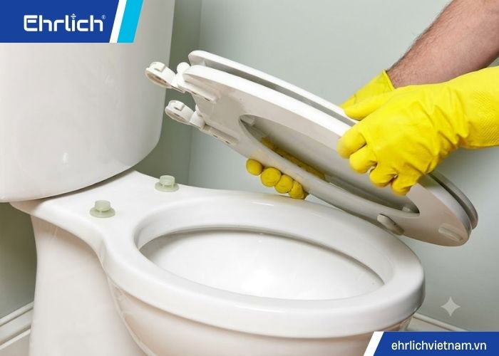 sửa nắp bồn cầu (1)