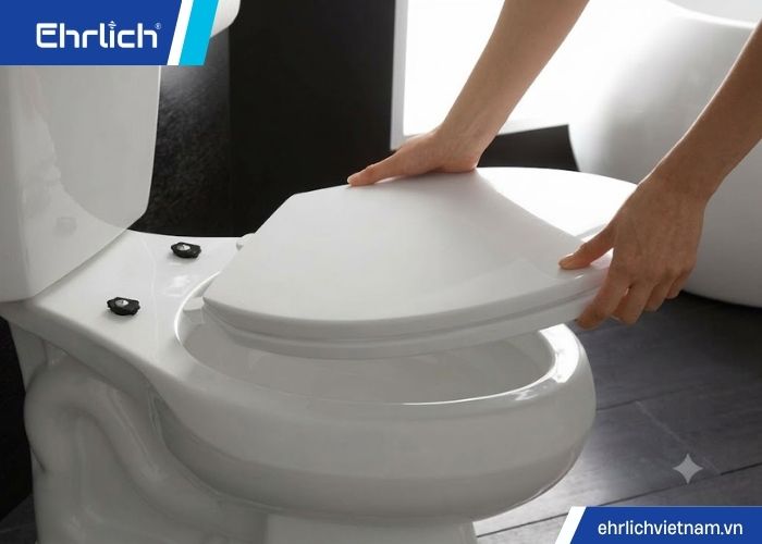 sửa nắp bồn cầu (3)