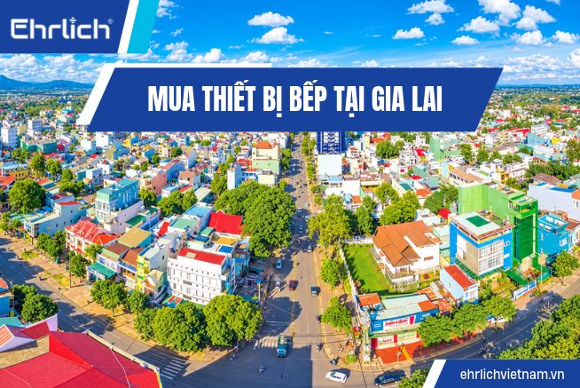 MUA THIẾT BỊ BẾP TẠI GIA LAI (1)