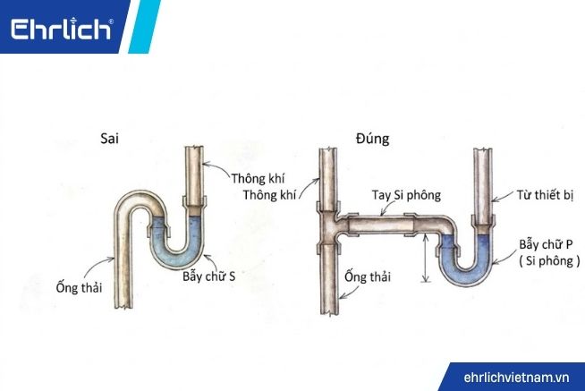 xyphong lavabo là gì (2)