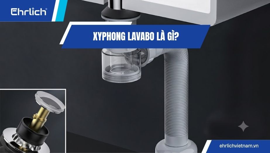 Xi phông lavabo là gì? Cấu tạo, phân loại và cách chọn phù hợp